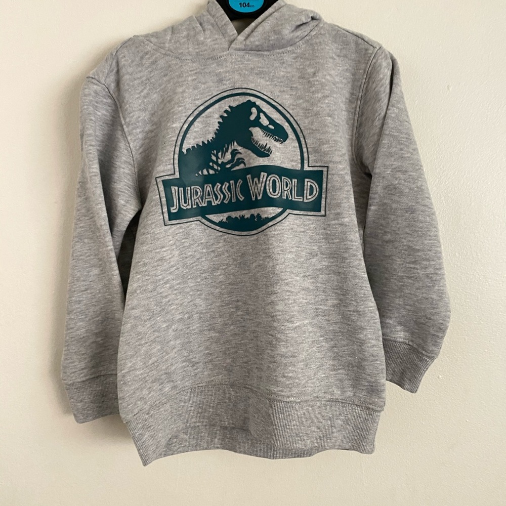 Kids Jurassic world hoodie